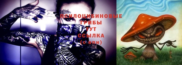 МДПВ Нягань