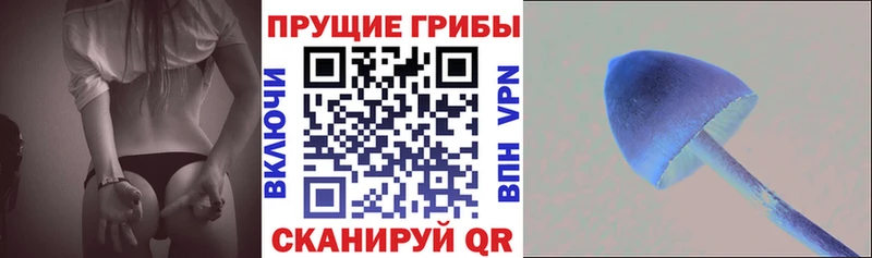 Галлюциногенные грибы мицелий  кракен зеркало  Железногорск  где купить наркоту 